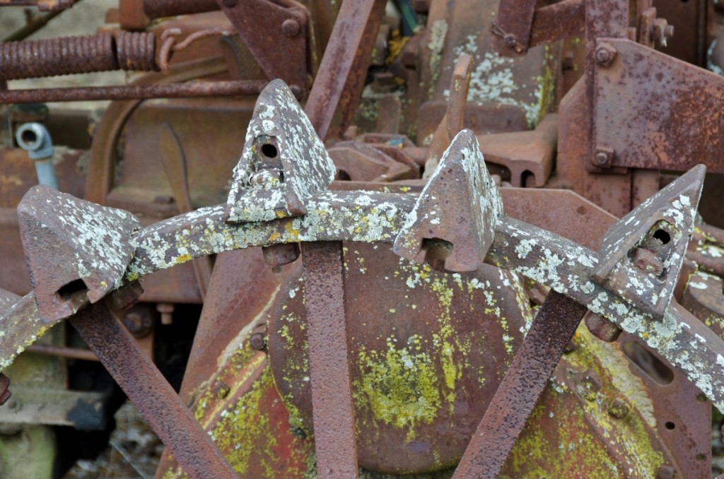 Old Tractor Wheel