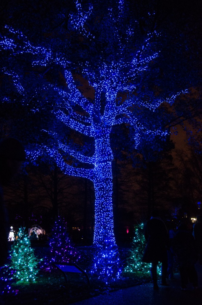 Tree Glow