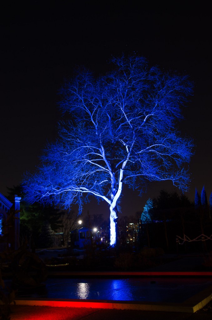 Blue Tree Glow