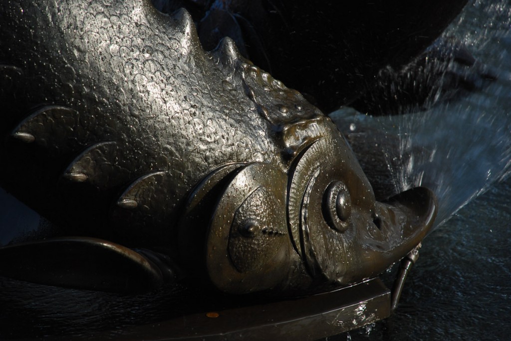 Fish Fountain