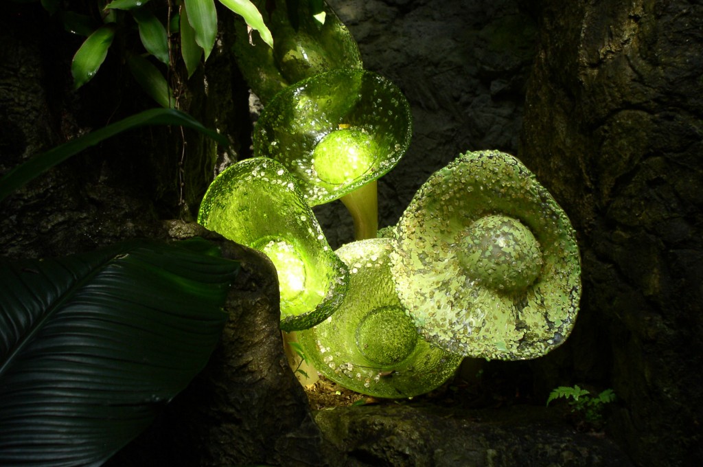 Glass Mushrooms