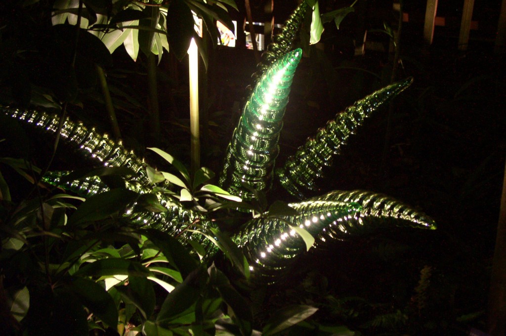 Glass Ferns