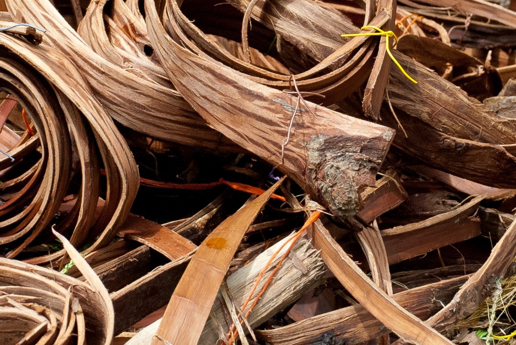 Raw Baskets