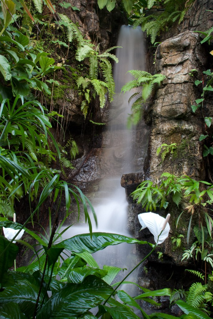 Climatron Waterfall